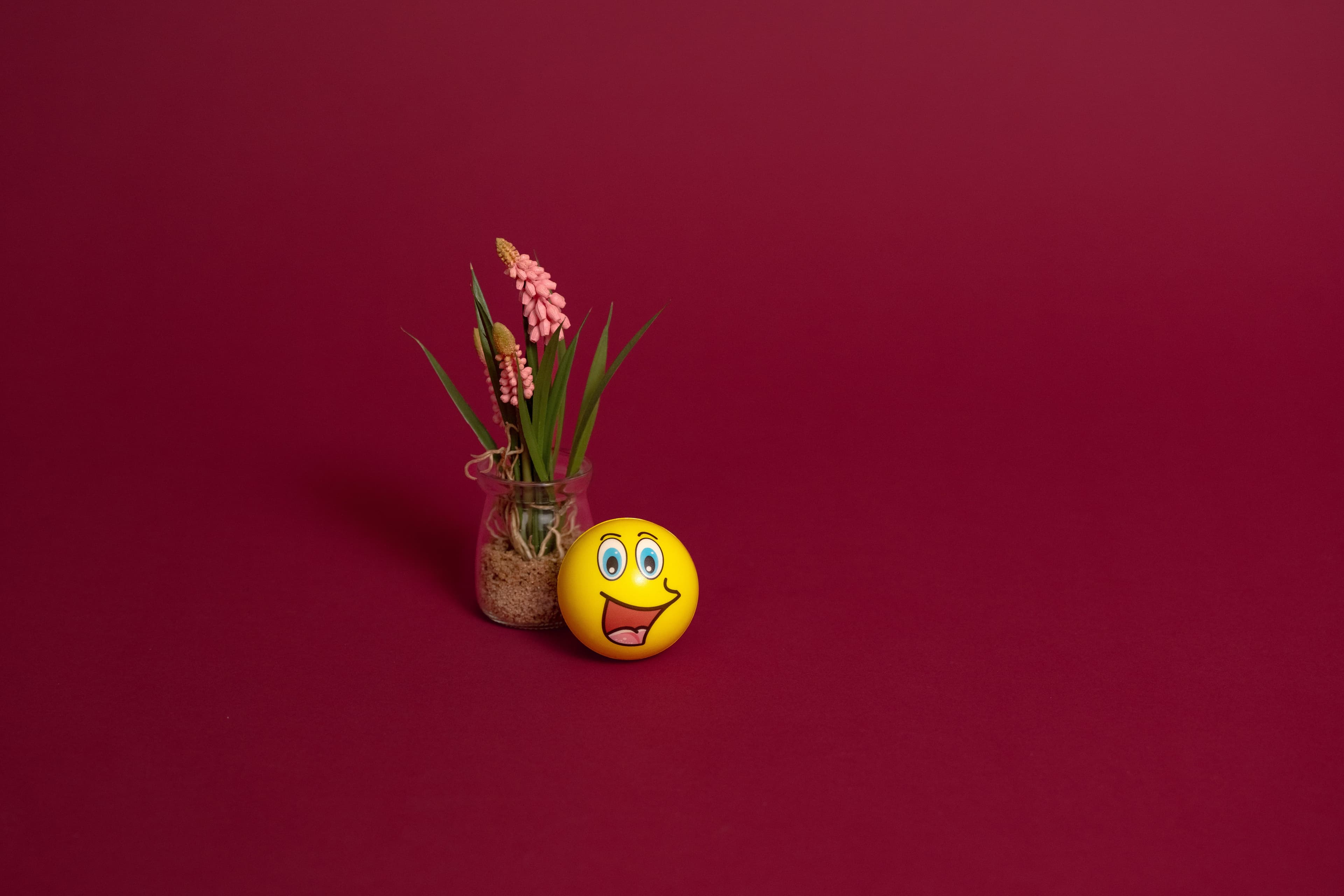 pflanze und smiley