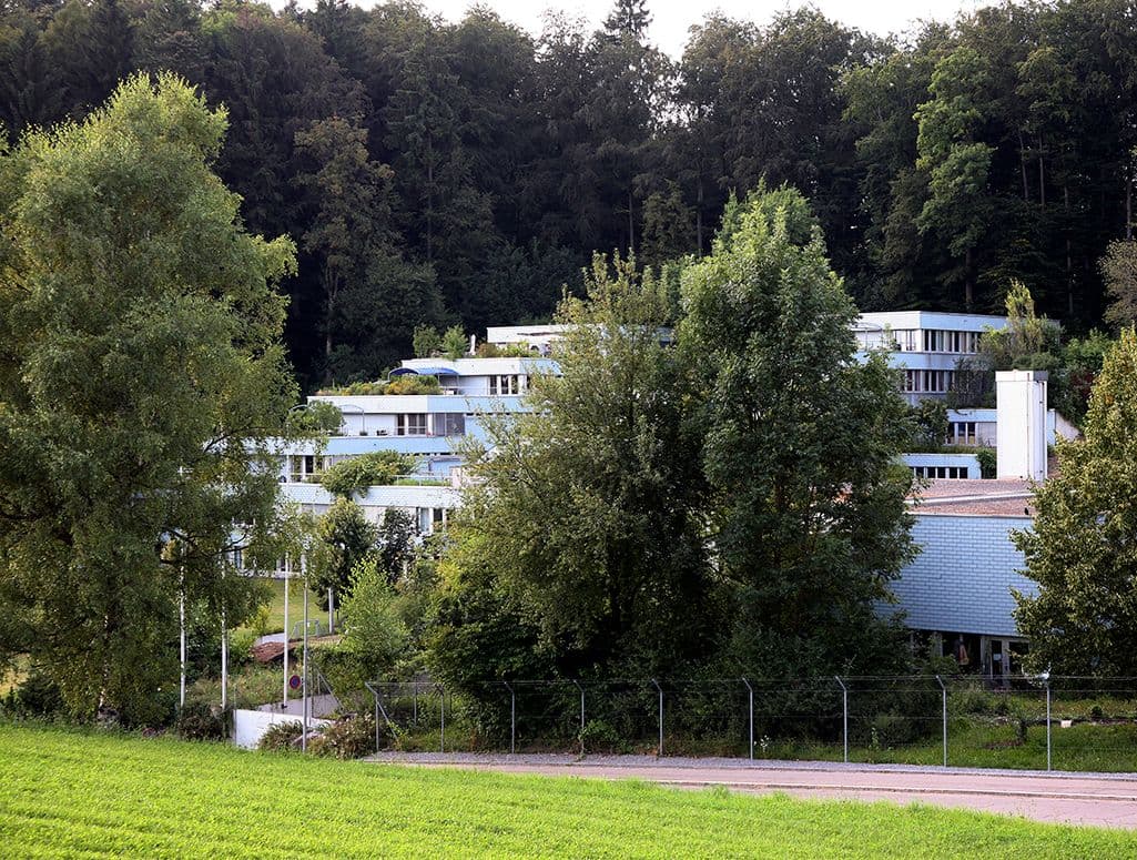 Ringlikon